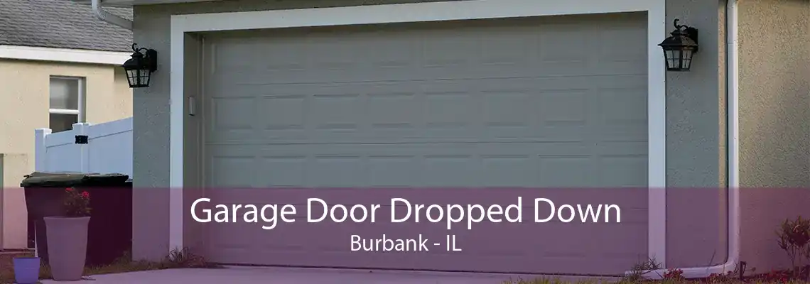 Garage Door Dropped Down Burbank - IL