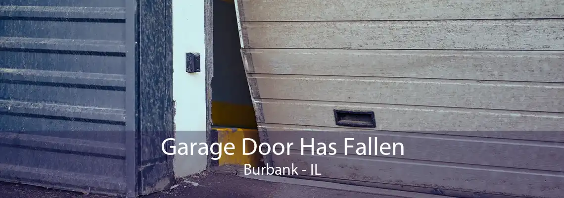 Garage Door Has Fallen Burbank - IL