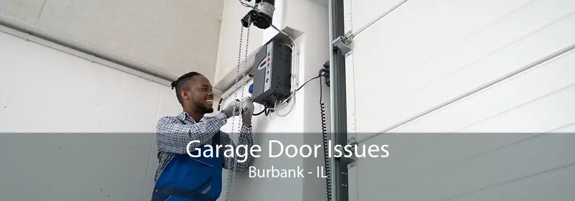 Garage Door Issues Burbank - IL