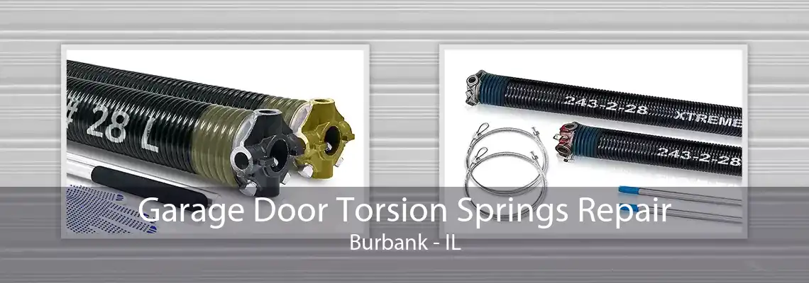 Garage Door Torsion Springs Repair Burbank - IL