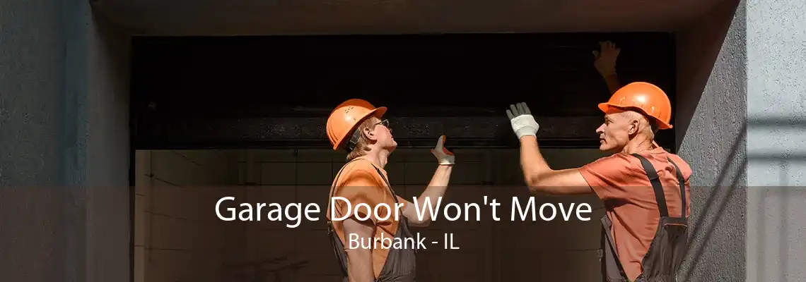 Garage Door Won't Move Burbank - IL