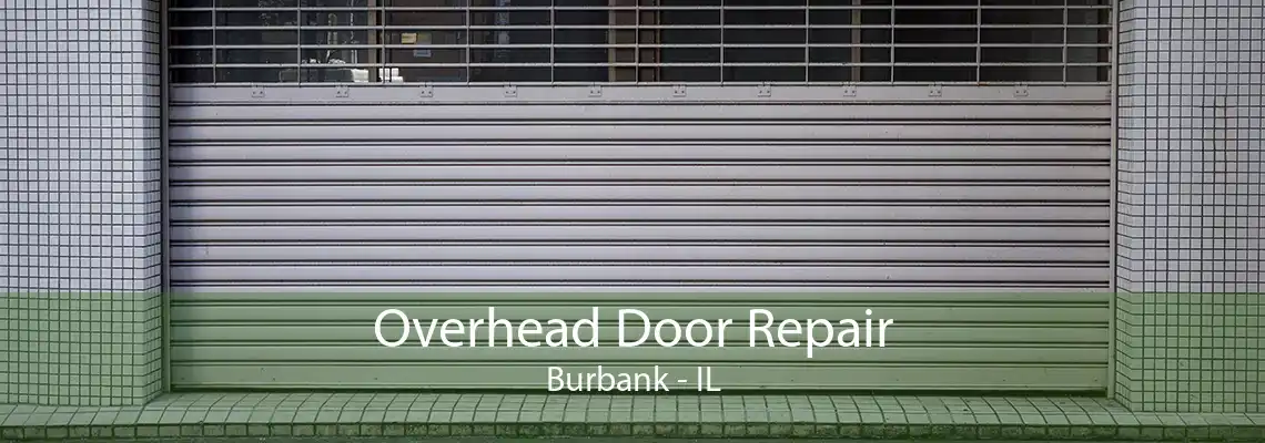 Overhead Door Repair Burbank - IL